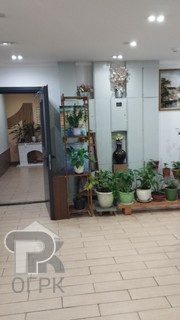 Купить студию, №387583