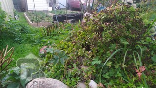 Купить дом, №386939