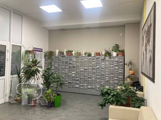 Купить студию, №388283