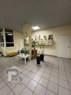 Купить студию, №391412