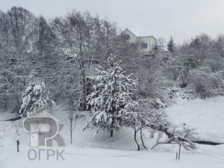 Купить землю, №388318