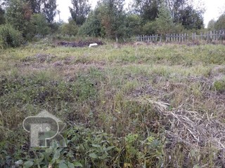 Купить землю, №352594