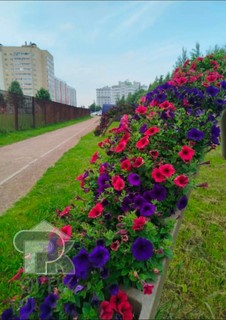 Купить 2-комнатную квартиру, №387532