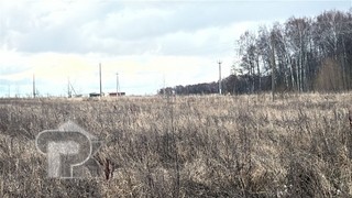 Купить землю, №386732