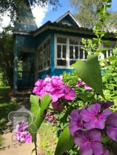 Купить дом, №388626