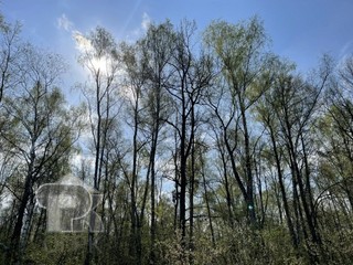 Купить дом, №388820