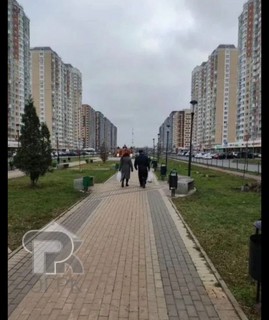 Купить 1-комнатную квартиру, №387683