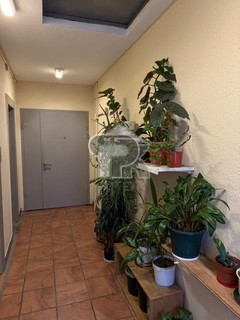 Купить 2-комнатную квартиру, №387866