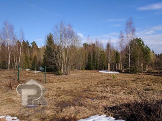 Купить землю, №389108