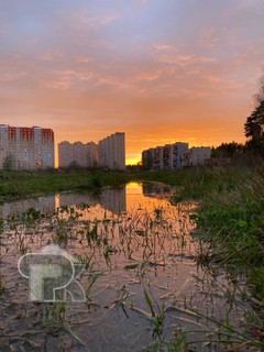 Купить 1-комнатную квартиру, №371393