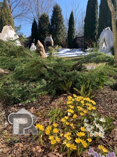 Купить коттедж, №388974