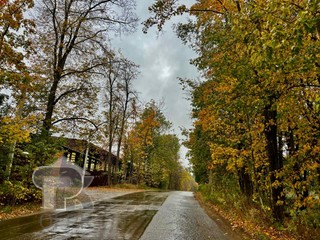 Купить землю, №386884