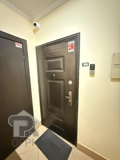 Купить студию, №391091