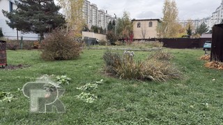 Купить землю, №392496