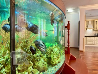 Купить 4-комнатную квартиру, №387992