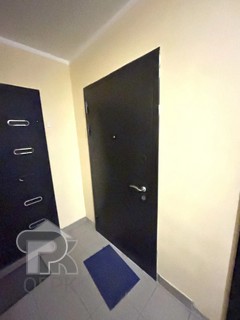 Купить студию, №388920