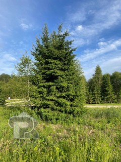 Купить землю, №390519