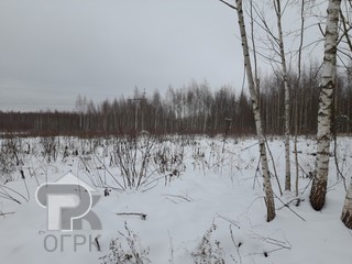 Купить землю, №362559