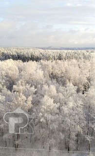 Купить 1-комнатную квартиру, №388209