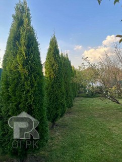 Купить дом, №385109
