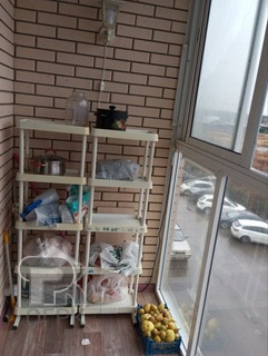 Купить 2-комнатную квартиру, №388721