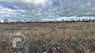 Купить землю, №386732