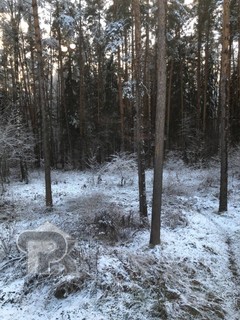 Купить дом, №387608