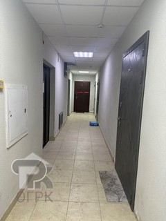 Купить студию, №388105