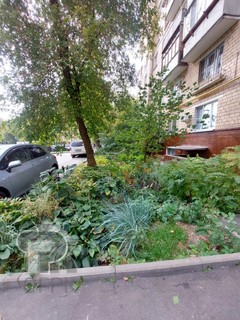 Купить 1-комнатную квартиру, №385816