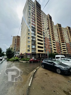 Купить студию, №389898