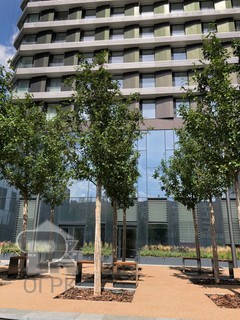 Купить 3-комнатную квартиру, №358665