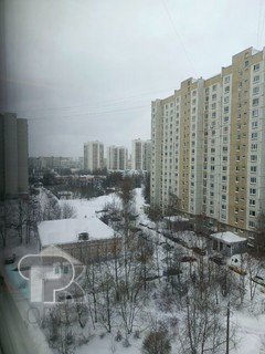 Купить 1-комнатную квартиру, №388509