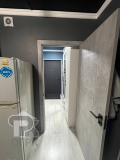 Купить студию, №387722