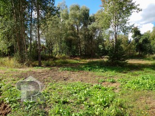Купить землю, №390843