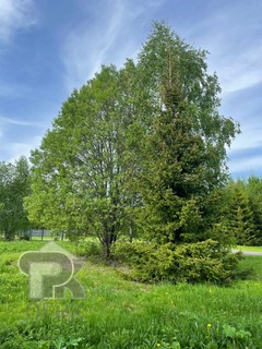 Купить землю, №390519