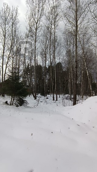 Купить землю, №384782